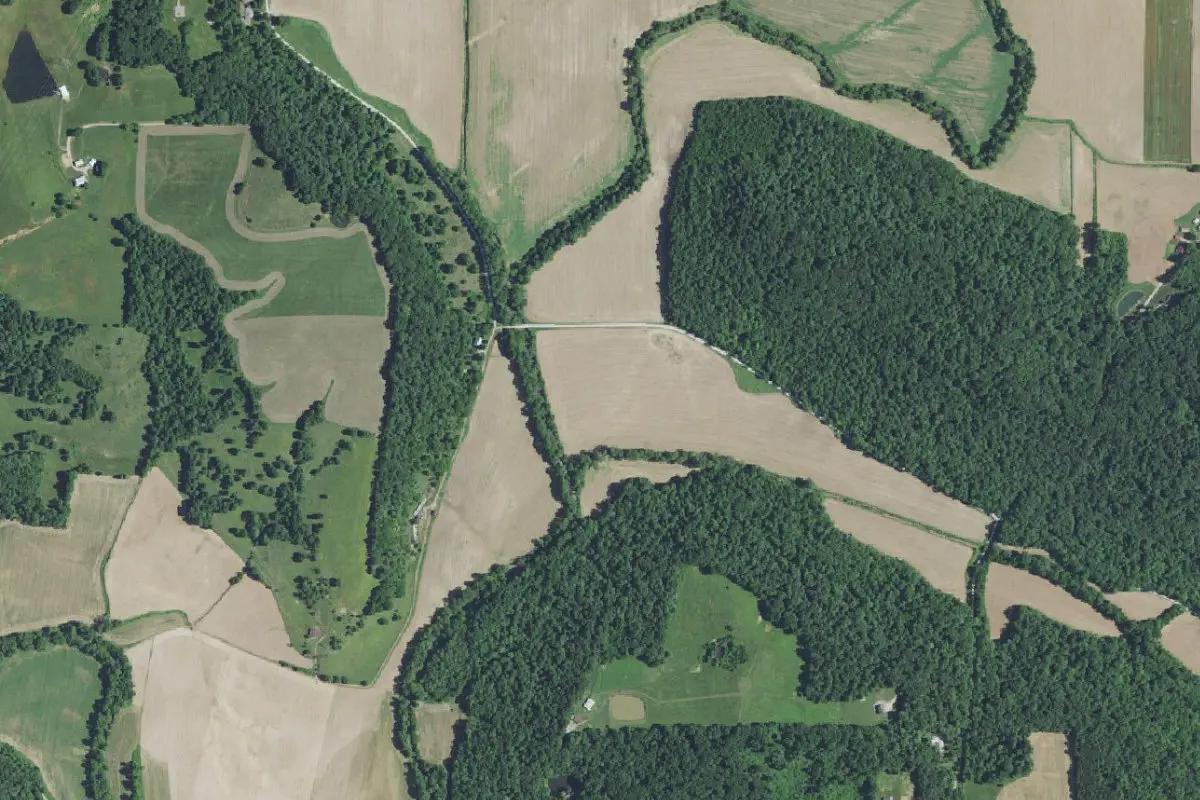Aerial view of Ferdinand State Forest