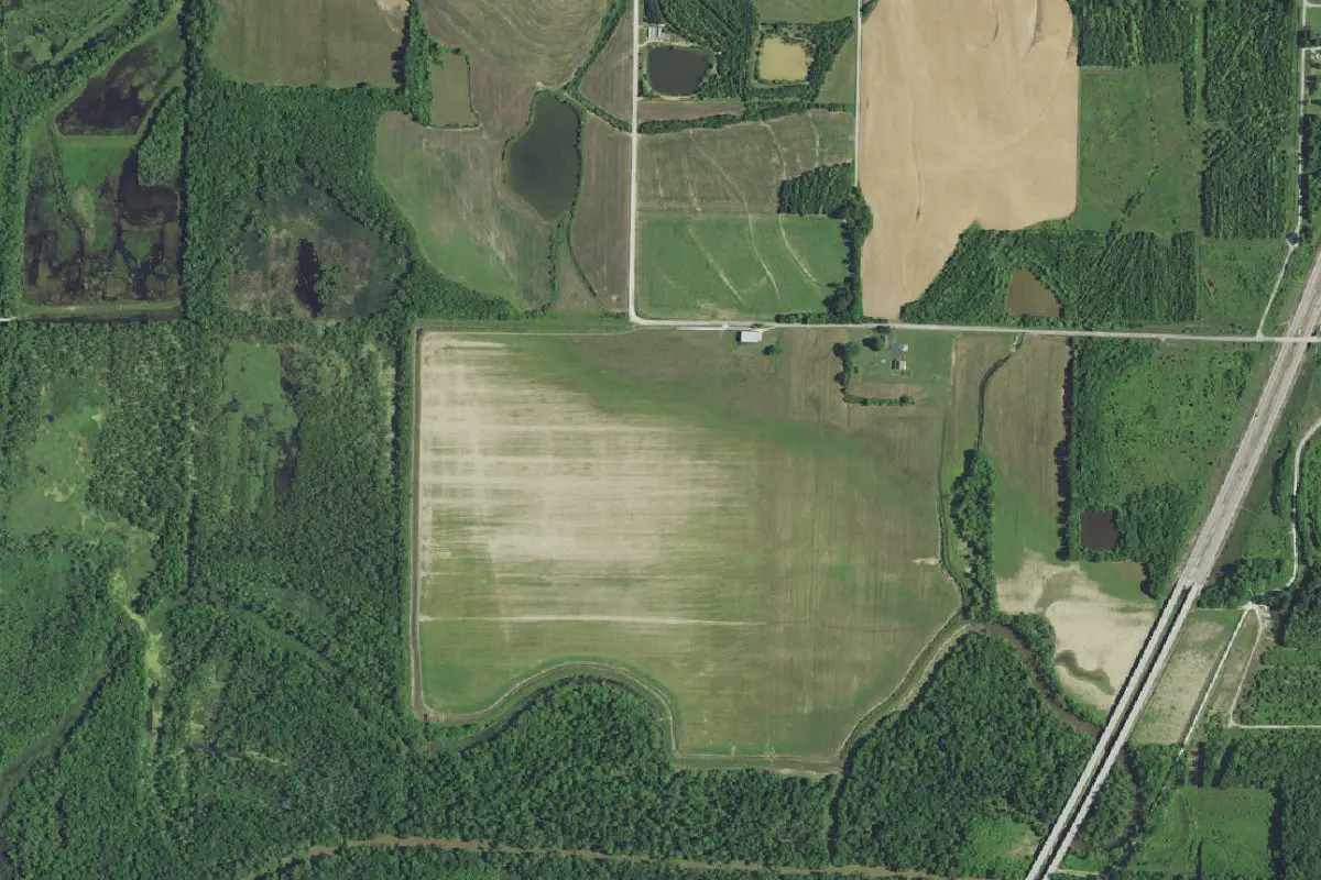 Aerial view of Pike State Forest