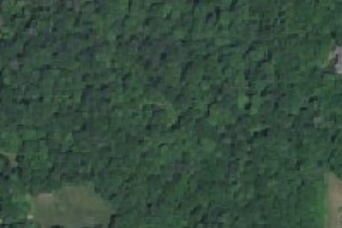 Aerial view of Pine Valley